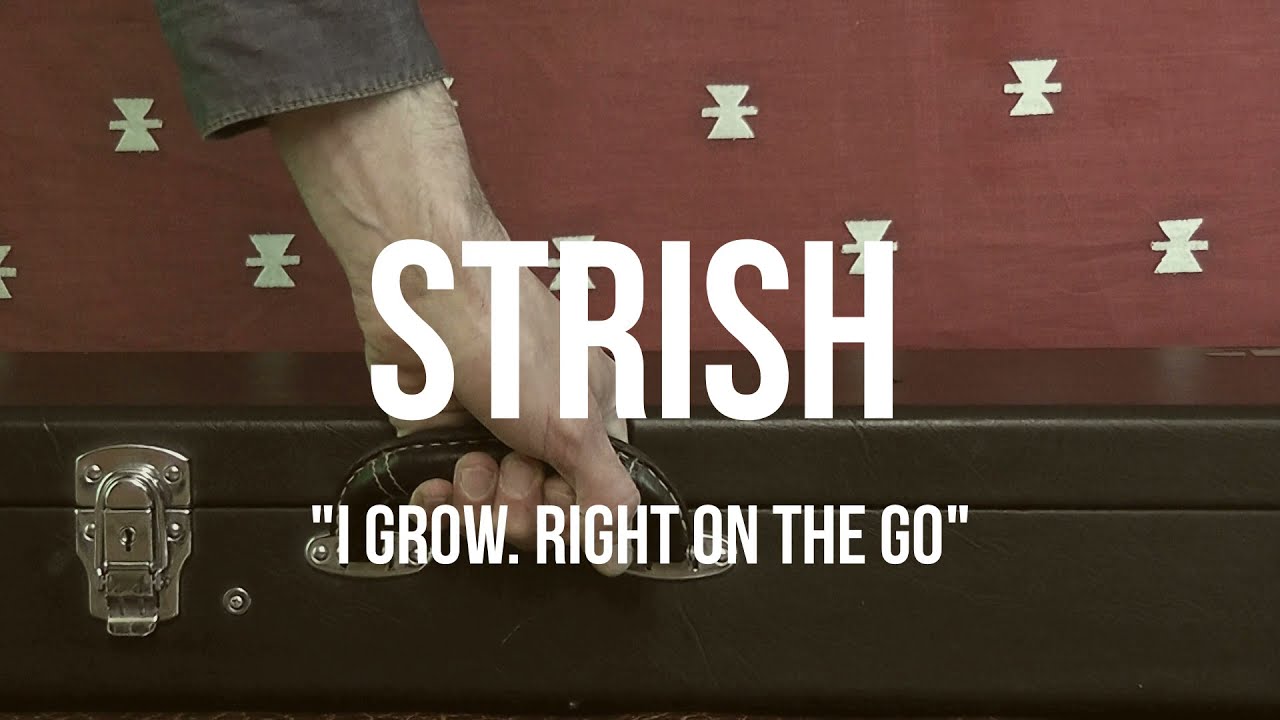 I grow. Right on the go. Single. Strish 2021