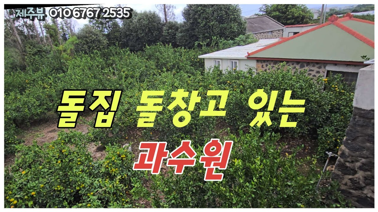 조천읍 조천리 중산간  돌창고 돌집 있는 관리잘된  과수원 평당35만