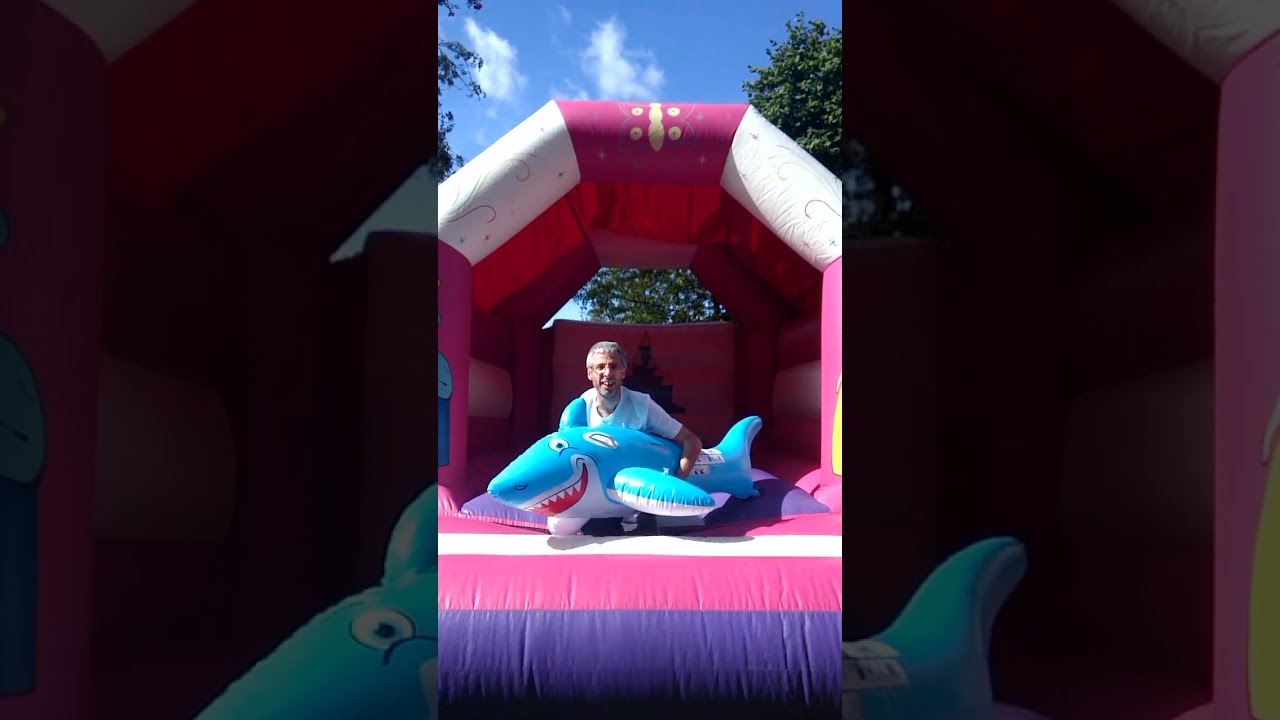 Paul’s 2009 “Pineapple Leisure” Princess Bouncy Castle 🏰Riding Inflatable Shark 🦈 Pool Toy Aug 2024