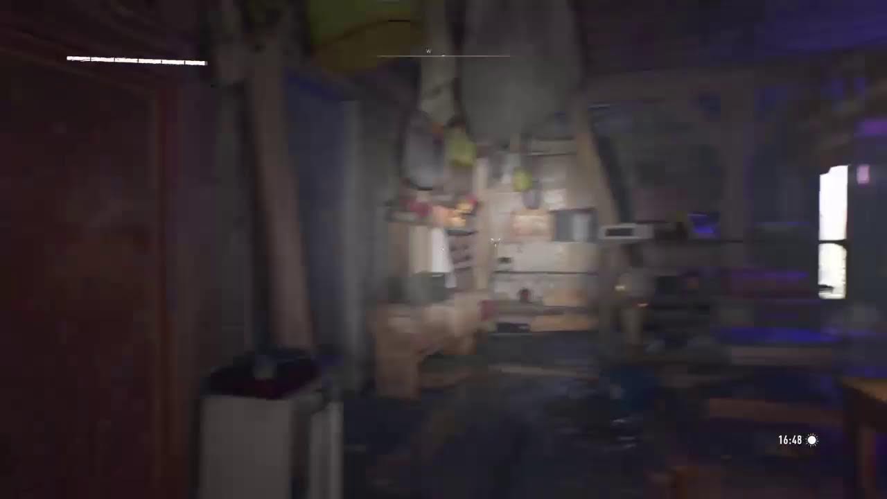 Dying ligth 2 stay human [wsg family]