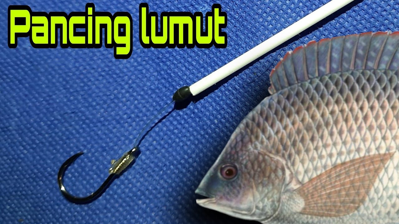 CARA MEMBUAT RANGKAIAN PANCING LUMUT 1 KAIL
