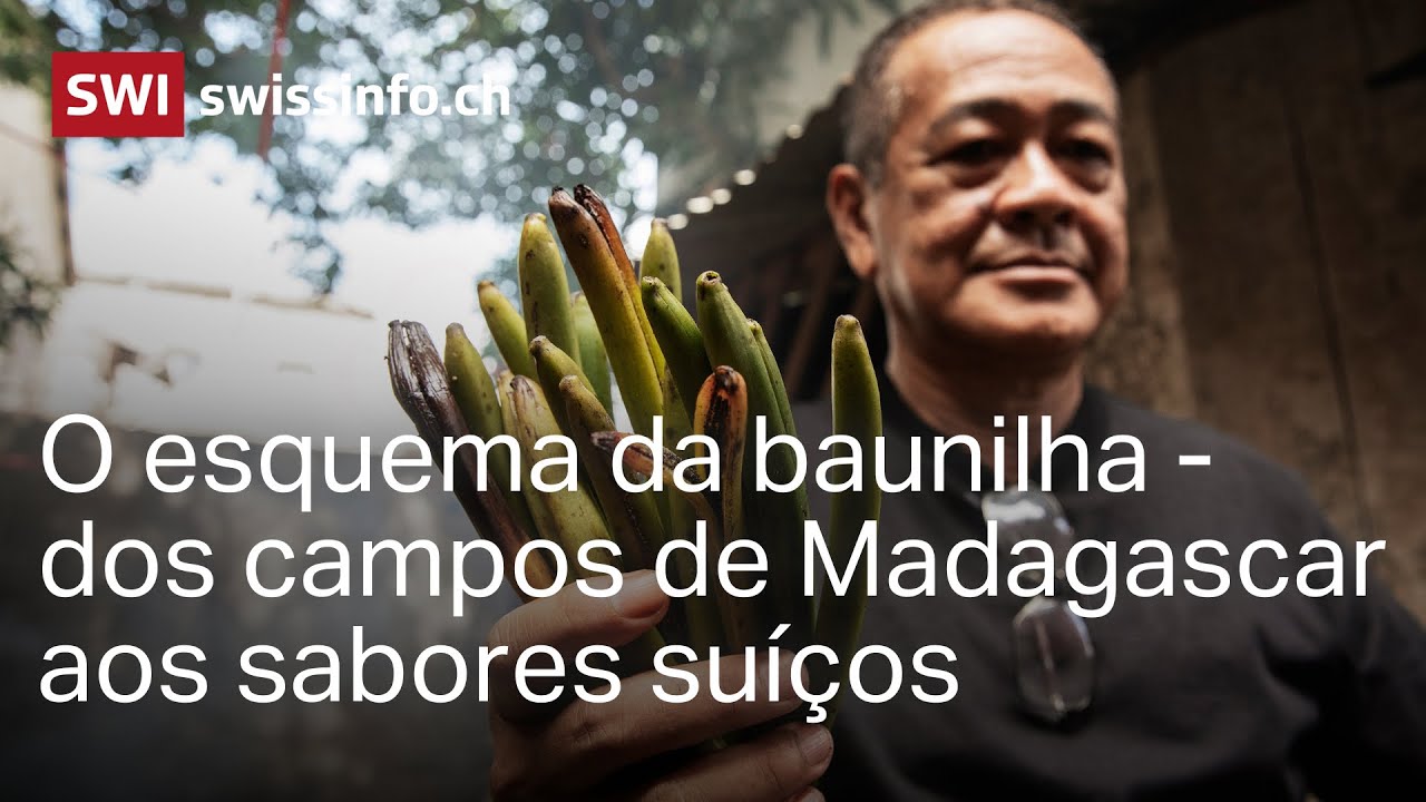 O esquema da baunilha - dos campos de Madagascar aos sabores suíços
