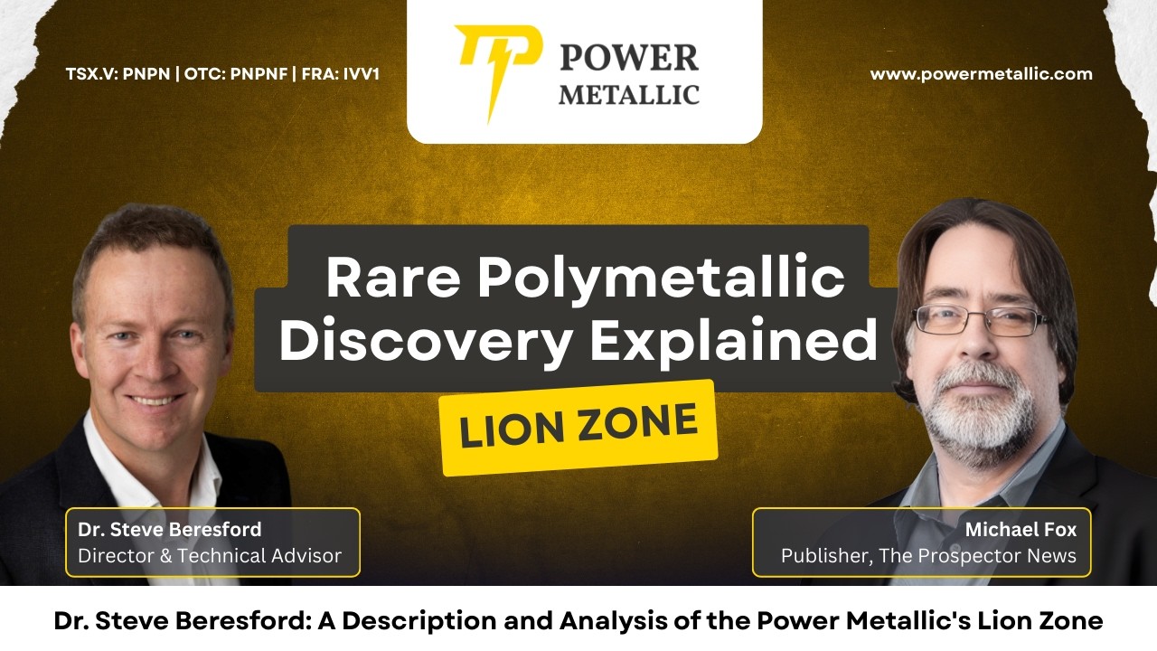 Dr. Steve Beresford: A Description and Analysis of the Power Metallic's Lion Zone