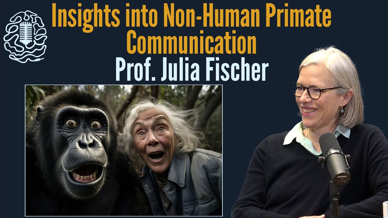 🐒 Communication Among Non-Human Primates