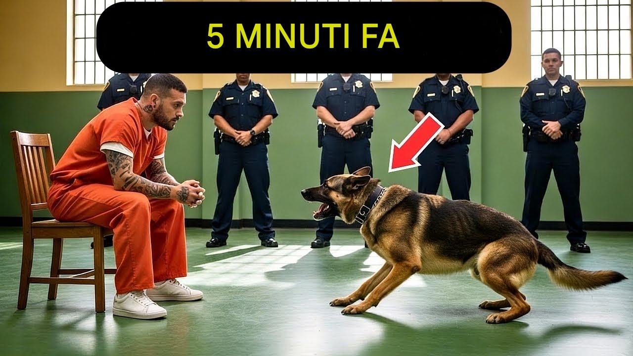 IL SUO ULTIMO DESIDERIO PRIMA DELL'ESECUZIONE ERA VEDERE IL SUO CANE POLIZIOTTO, MA QUELLO CHE È...