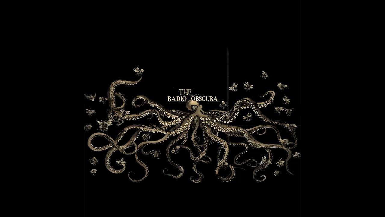 THE RADIO OBSCURA - THE FIRST VOYAGE - FULL ALBUM, STEAMFUNK DUB BY RUUDZ