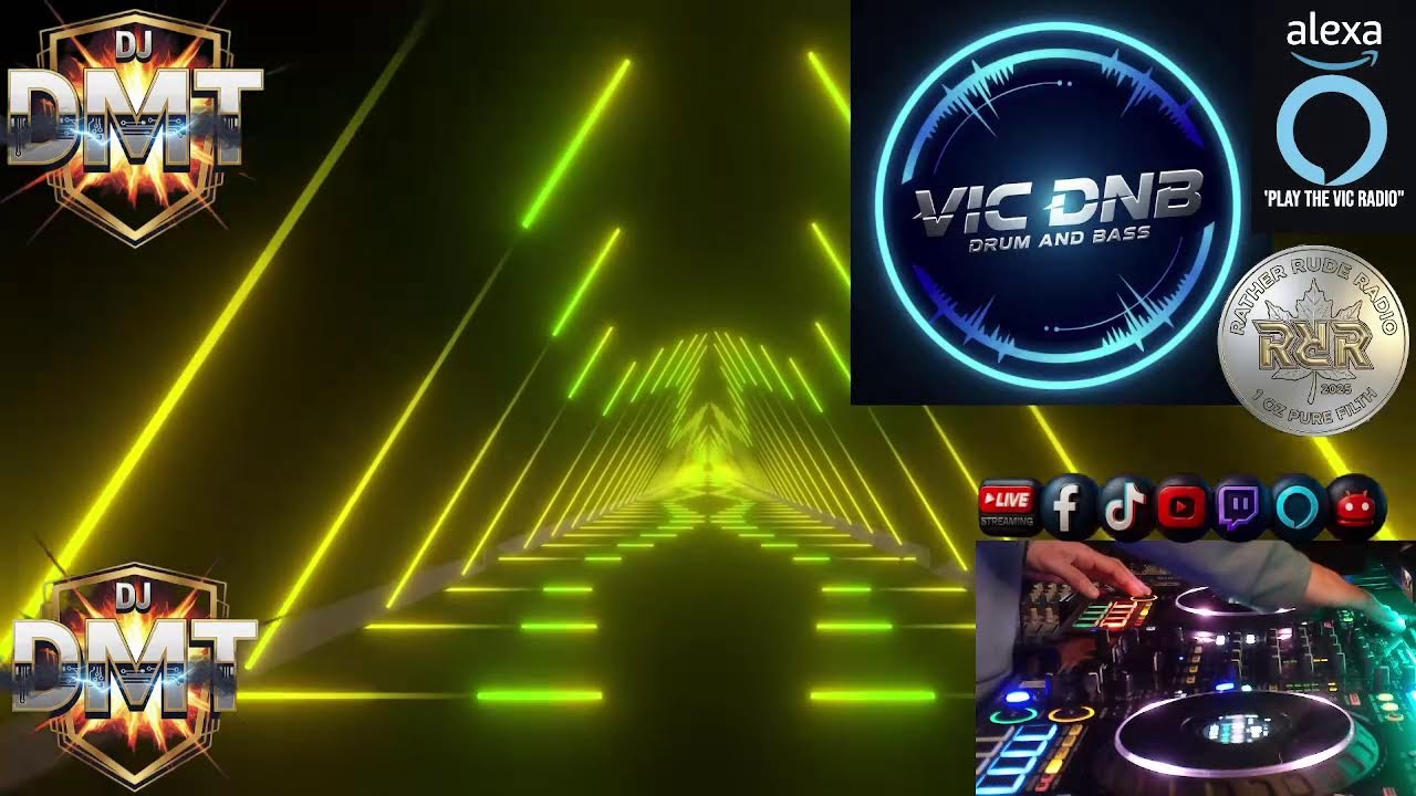 THE VIC - A Bass Odyssey with DMT