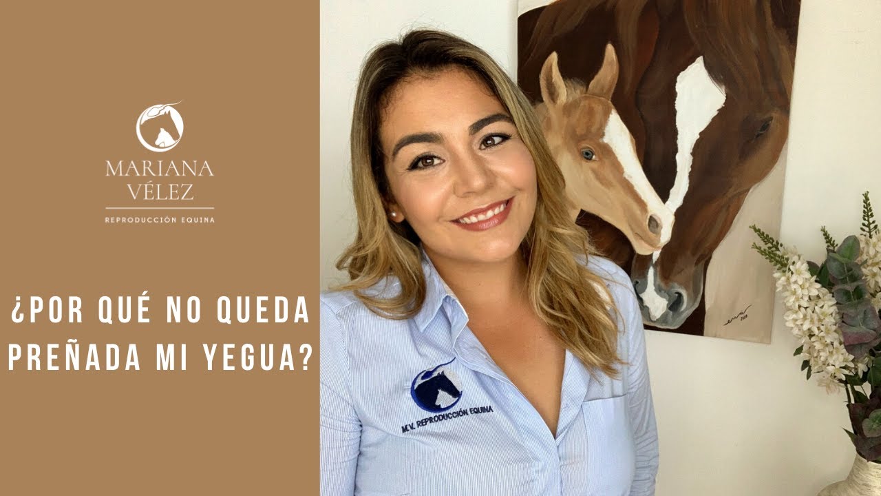 POR QUÉ MI YEGUA NO QUEDA PREÑADA????