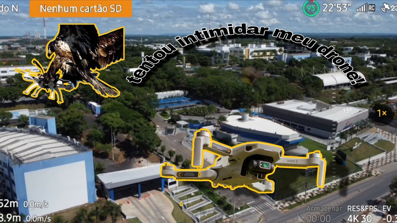 Voei na região central de Cuiabá e um bem-te-vi tentou intimidar meu drone🦅😳!
