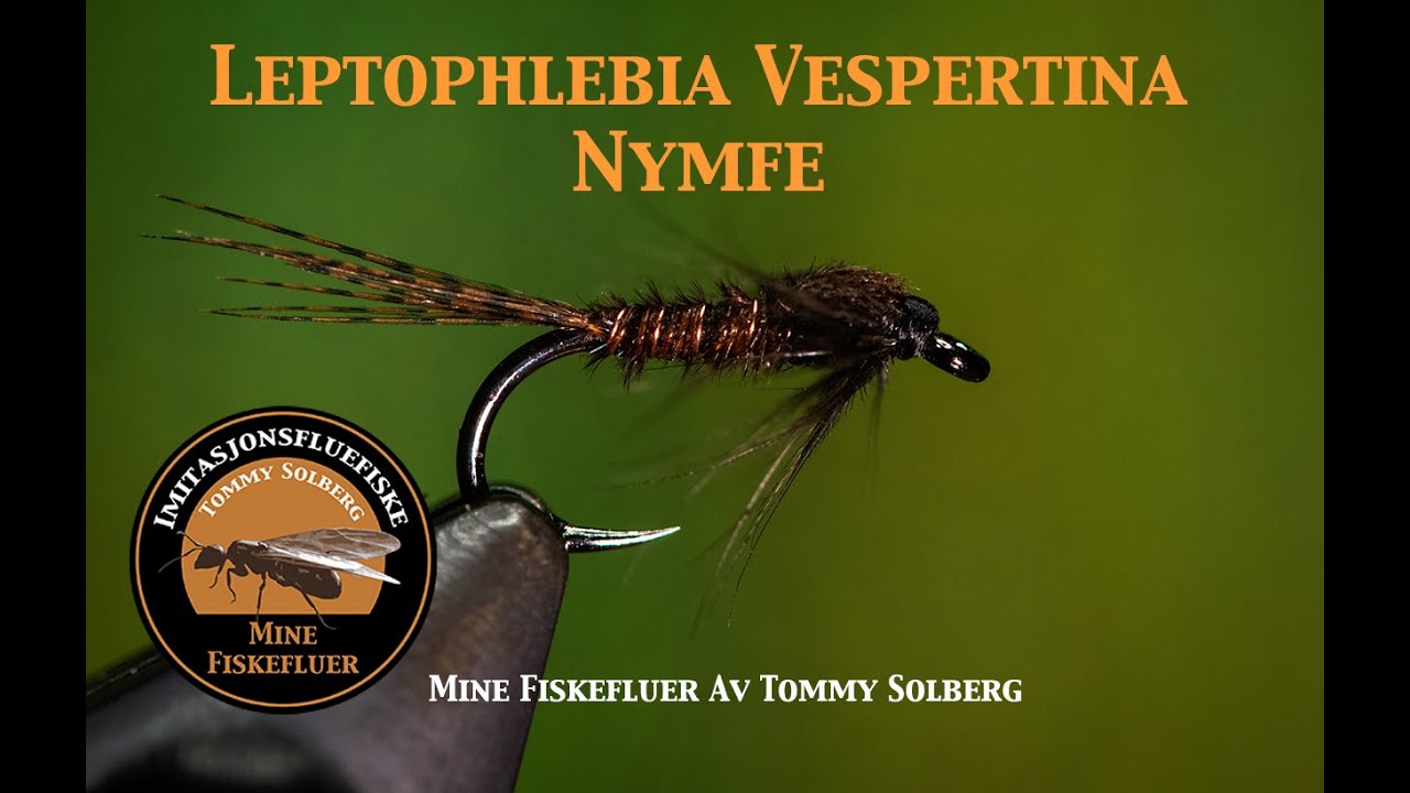 Leptophlebia Vespertina Nymfe - Mine fiskefluer. Fluebinding fra Blues mancaven og imitasjonsfluer