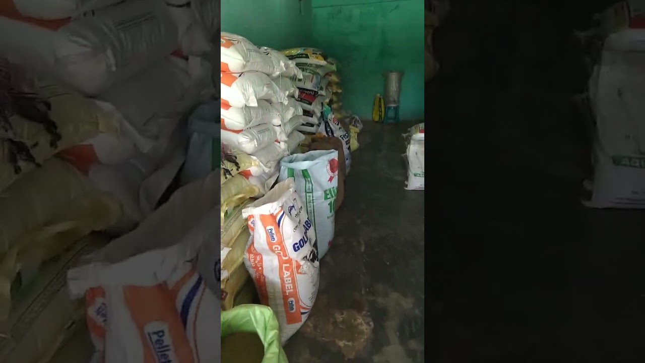 godrej premium quality 🐠🐓🐄🦆🐂 feed able able in assam Nagaon