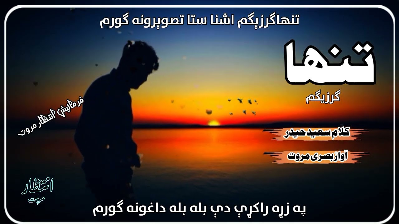 تنھا گرزگم اشنا ستا تصویرونہ گورم ۔۔ اواز بصری مروت