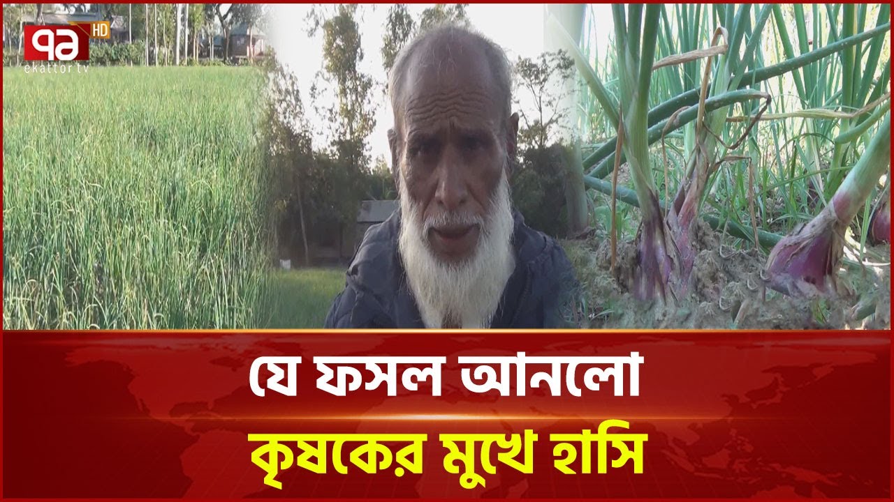 মুড়িকাটা পেঁয়াজ বদলে দেবে কৃষকের ভাগ্য! | Onion | News | Ekattor TV