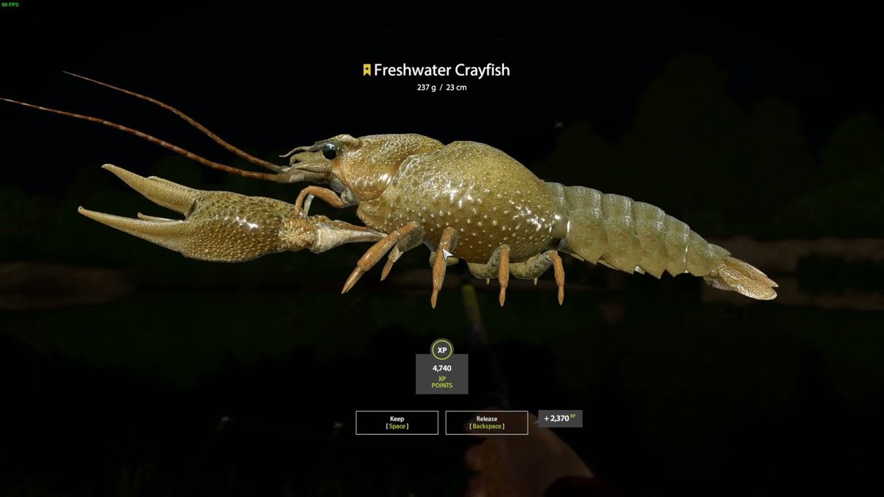 Russian Fishing 4 2023 07 20 winding rivulet freshwater crayfish {Trophy}