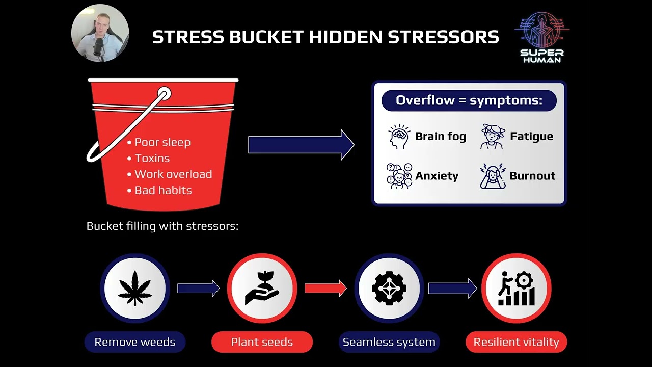 Your Symptoms Are Messengers (Here's What They're Saying)