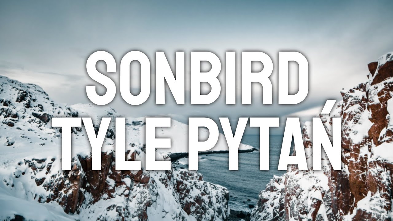 Sonbird - Tyle pytań (Lyrics/Tekst)