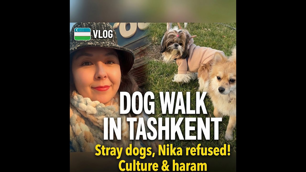 Daily Life in Uzbekistan: Walking Nika & Joy (Stray dogs & Culture)