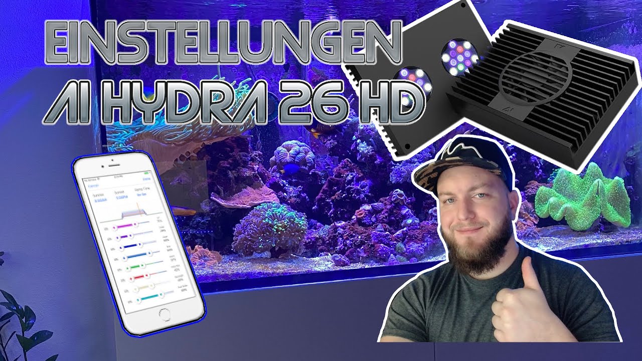 Meine AI Hydra Einstellungen | Reefer 425xl | Meerwasser Aquarium