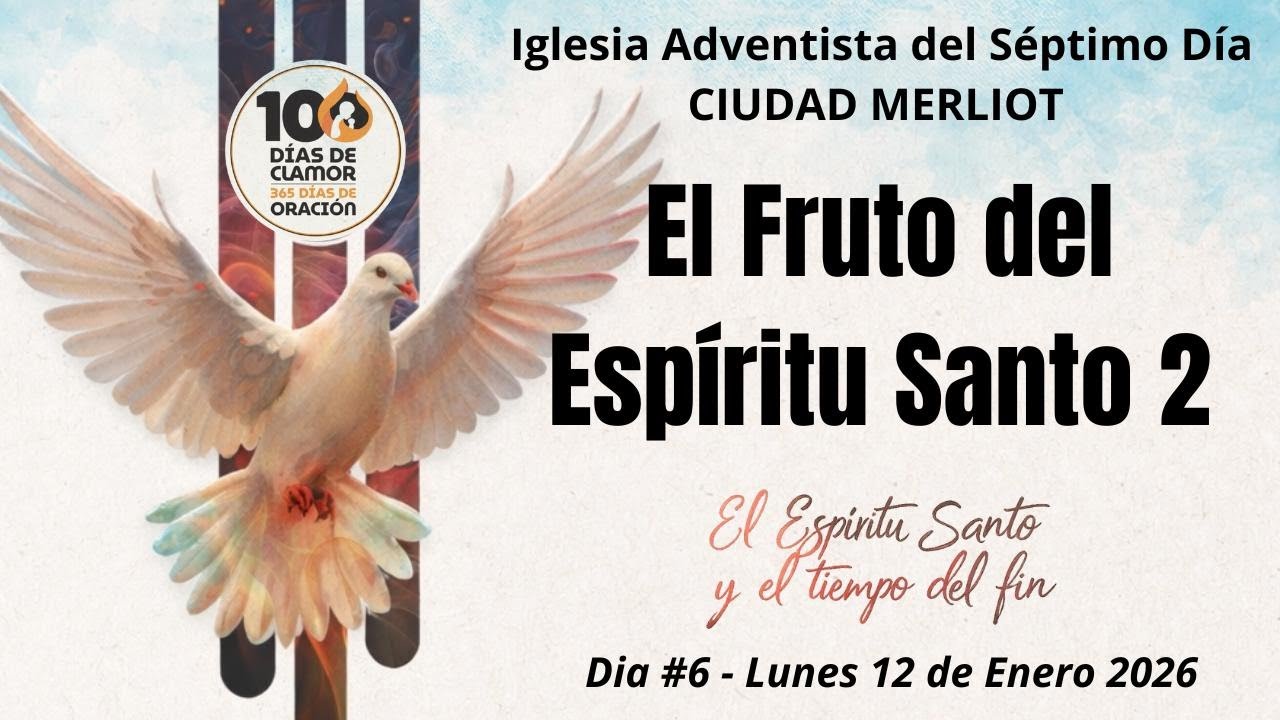 Día 6 - 