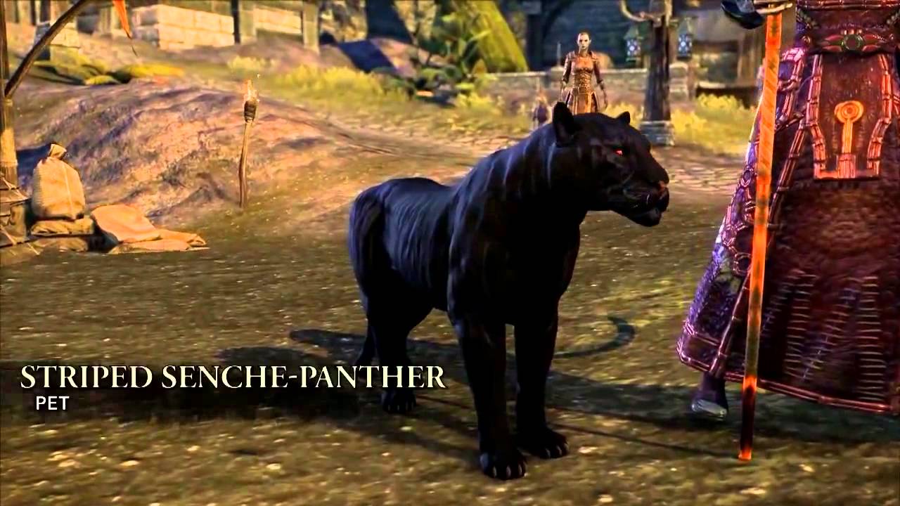 The Elder Scrolls Online - New mounts, pets and clothing