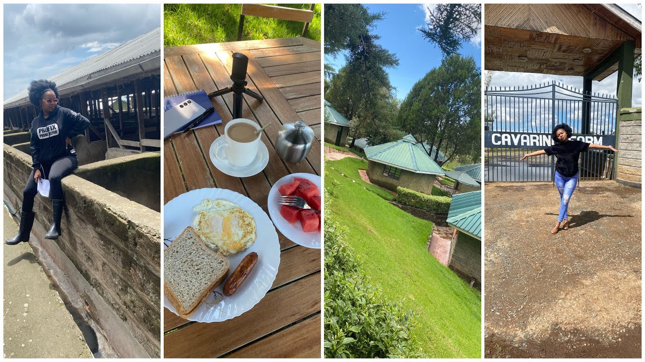 Spend the weekend with me at Cavarino Farm! A farm tour,team building sessions ..Welcome to my days!