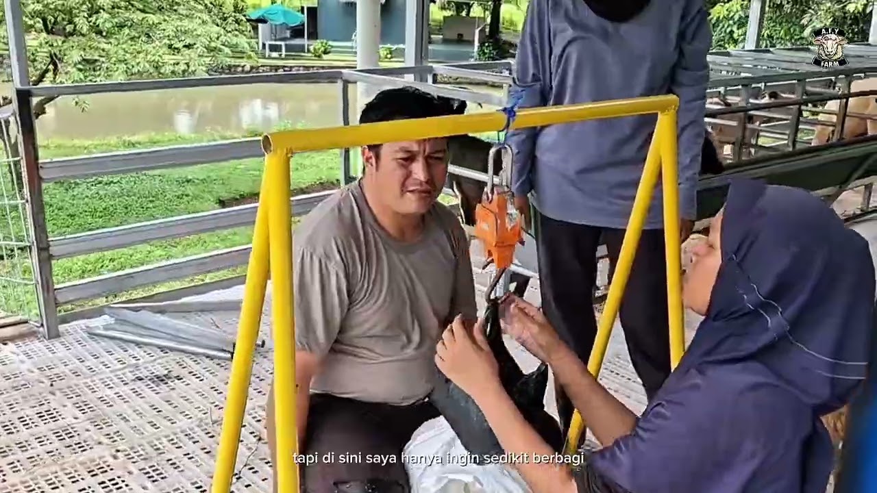 SOLUSI PAKAN DOMBA KAMBING TANPA NGARIT