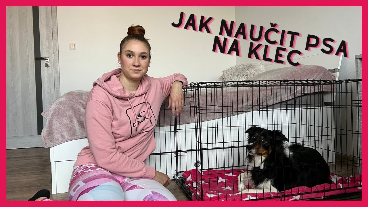 TUTORIAL #2 JAK NAUČIT NA MÍSTO/KLEC  | SE PSY S LÁSKOU A RESPEKTEM