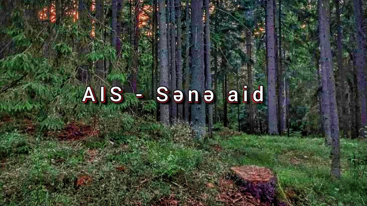 AIS - Sənə aid