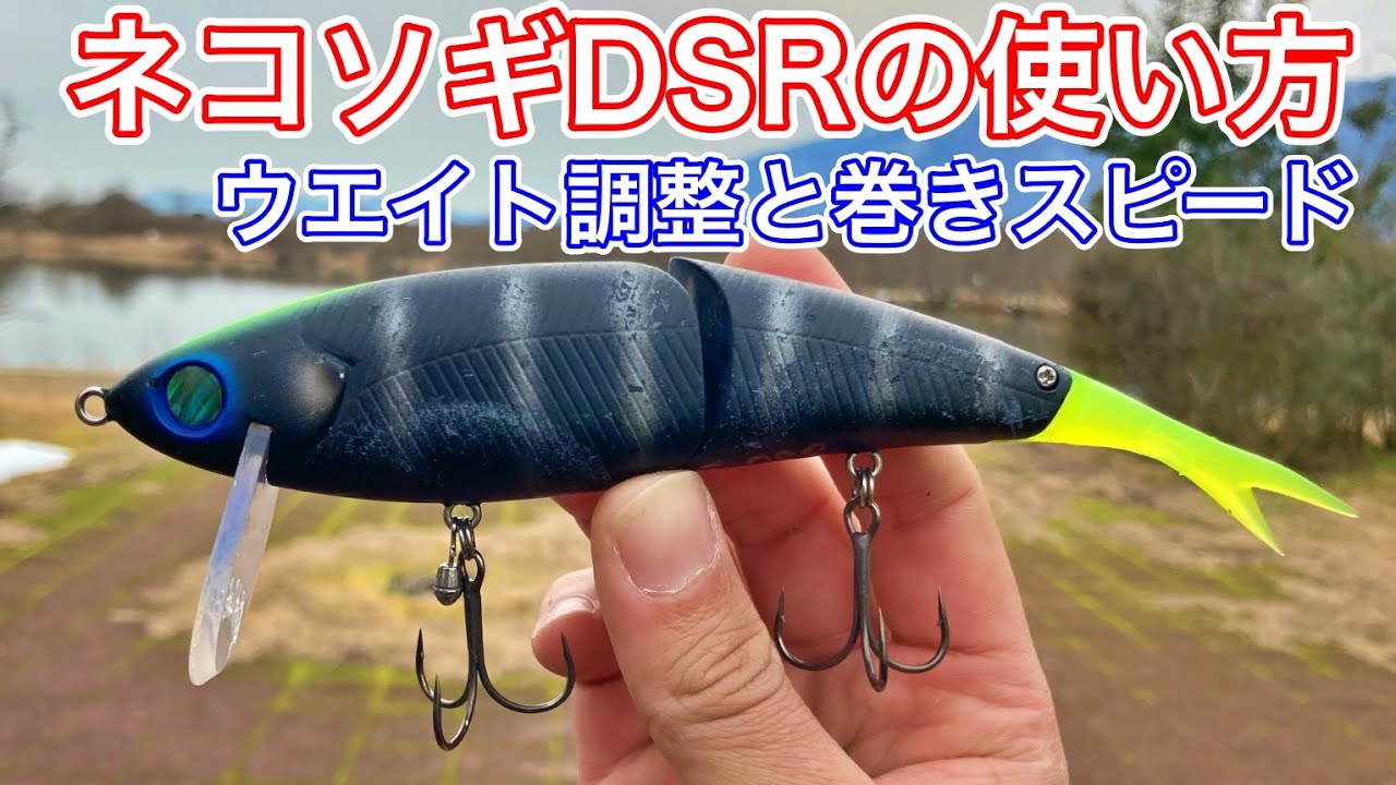 ネコソギDSRの使い方。ウエイトチューンと巻きスピード、狙う層。当たるけど乗らない時の改善点