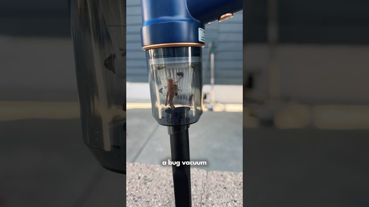 The ULTIMATE Organic Pest Control Solution - Why Didn't I Do This Sooner?