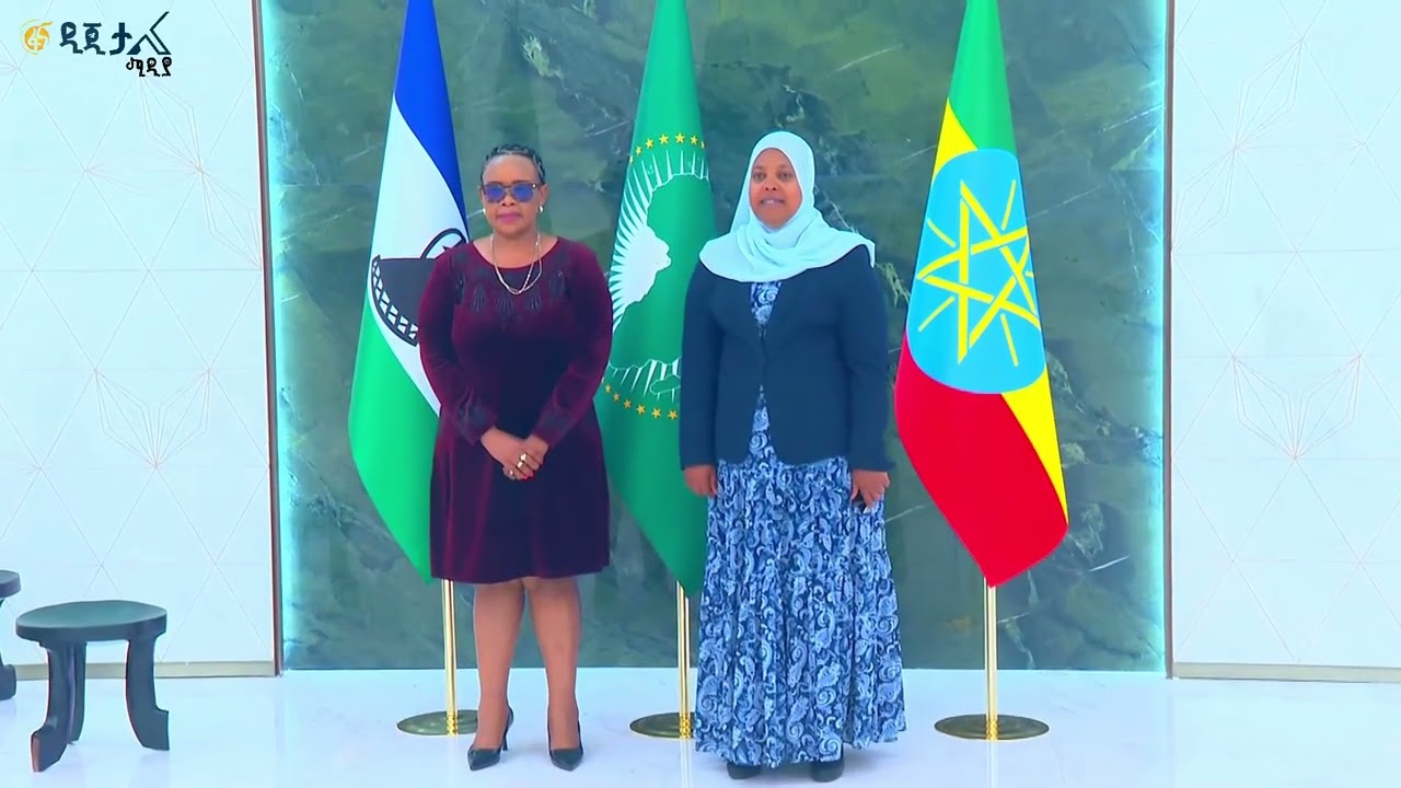 የተለያዩ ሀገራት መሪዎች አቀባበል በቦሌ