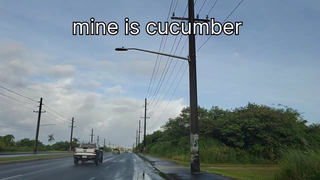 New Flea Market, Guam/$20 Budget