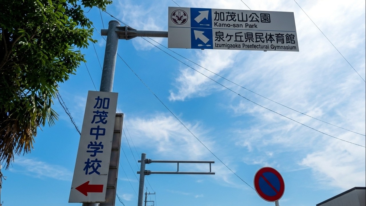 新潟県加茂市学校町 / 250723✨文教地区としての落ち着きと、加茂川のせせらぎが調和した「北越の小京都」の知性あふれる中心地。✨