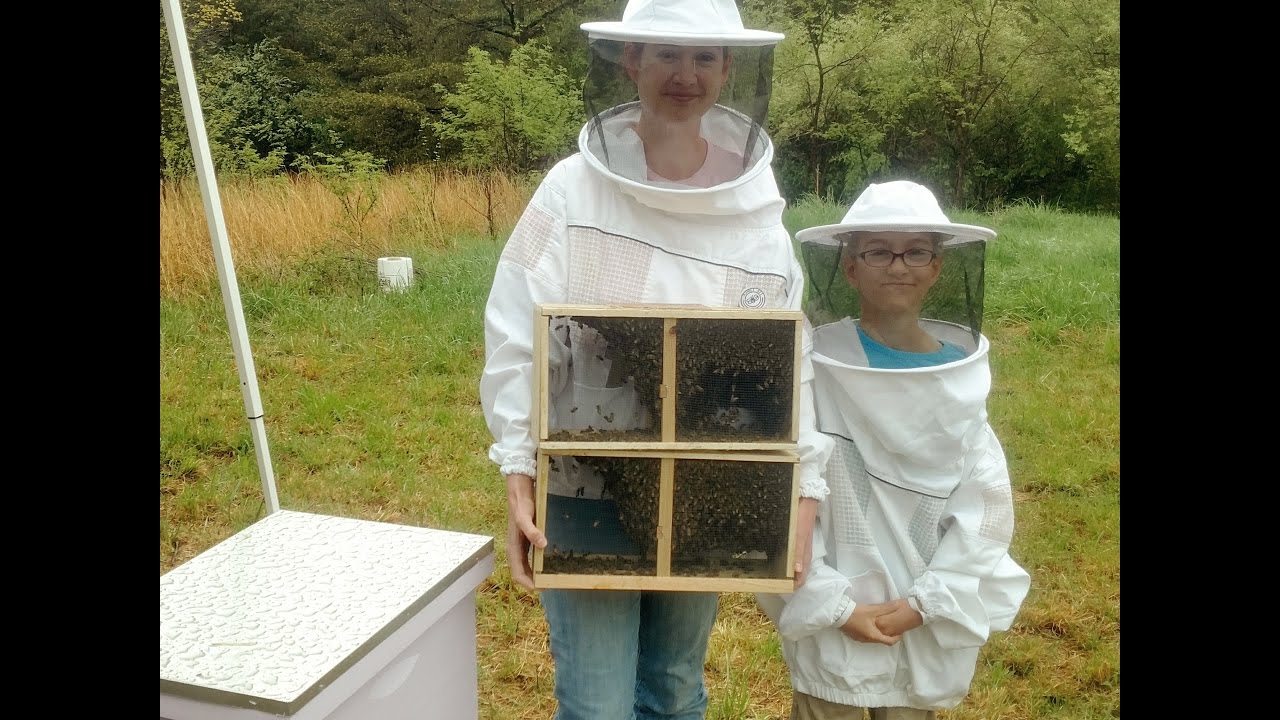 Installing Package Bees in a New Hive