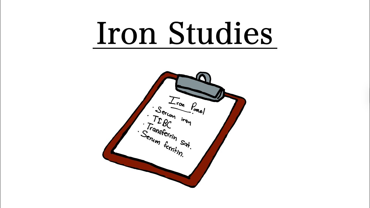Iron Panel Blood Test Explained (Ferritin, TIBC, Transferrin & Serum Iron Levels)