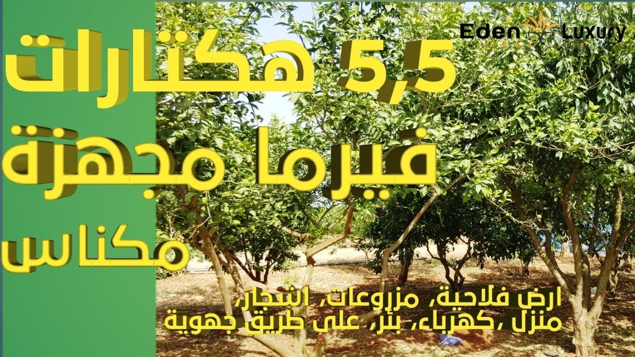 ferme équipée sur Meknes Maroc 5,5 hectar فيرما للبيع مجهزة بمكناس