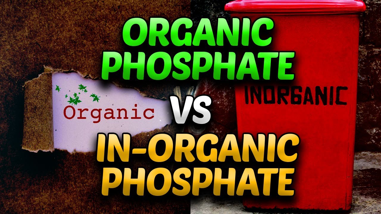 In-Organic Phosphate vs Organic Phosphate | How To Identify In-Organic Phosphate Products