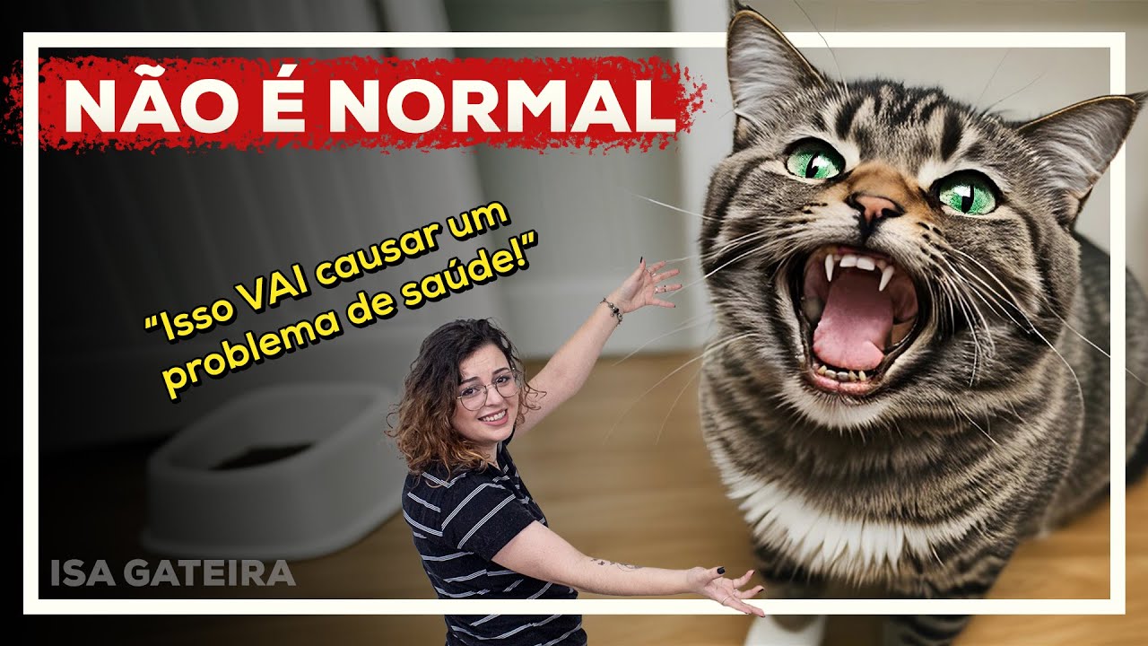 O que ESTRESSA os Gatos? - Parte 01