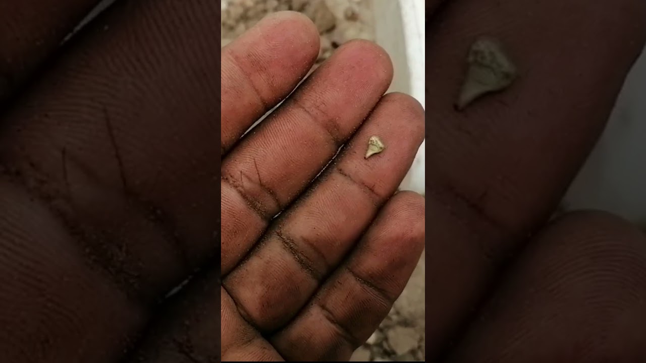 VOLVI a ENCONTRAR ORO con el DETECTOR de METALES GOLD KRUZER 