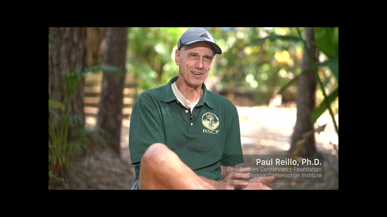Overview of the Mountain Bongo Repatriation Project