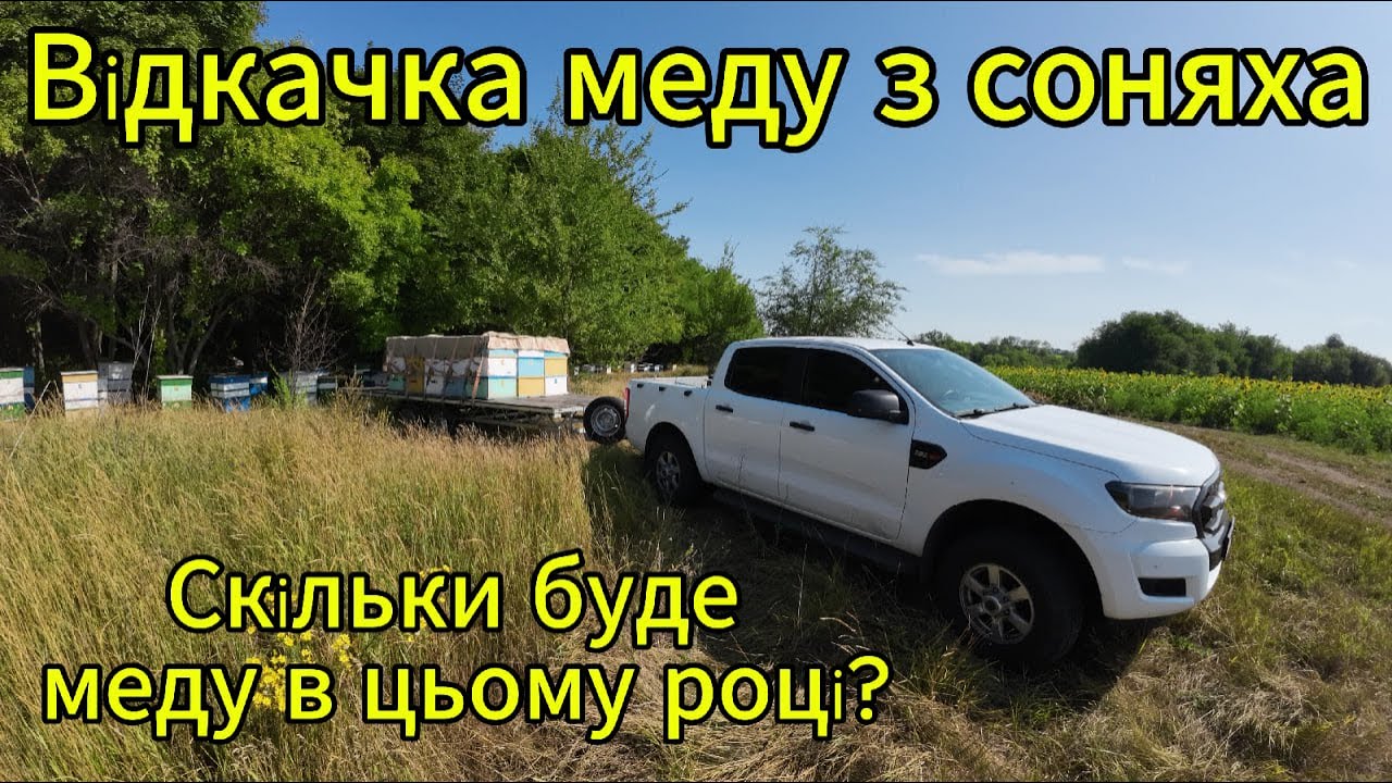 Відкачка меду з соняха на пасіці Головченко 400+