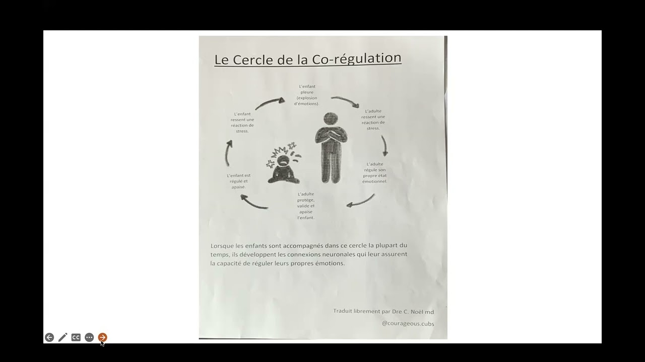 La dysrégulation émotionnelle