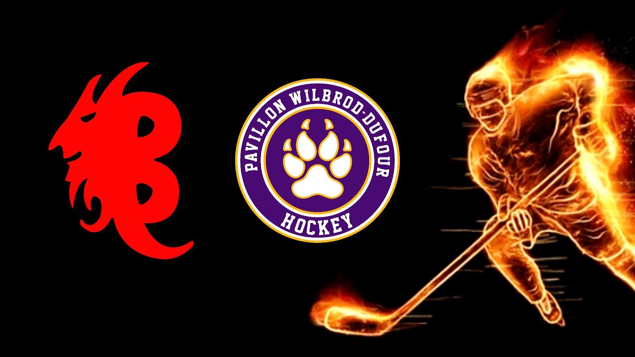 2026-02-21 Lynx de Wilbrod-Dufour