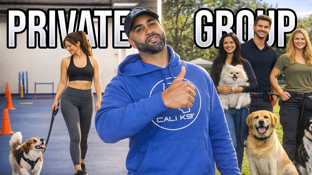 A Day At The Cali K9 Headquarter: Cali K9 Private and Group Sessions