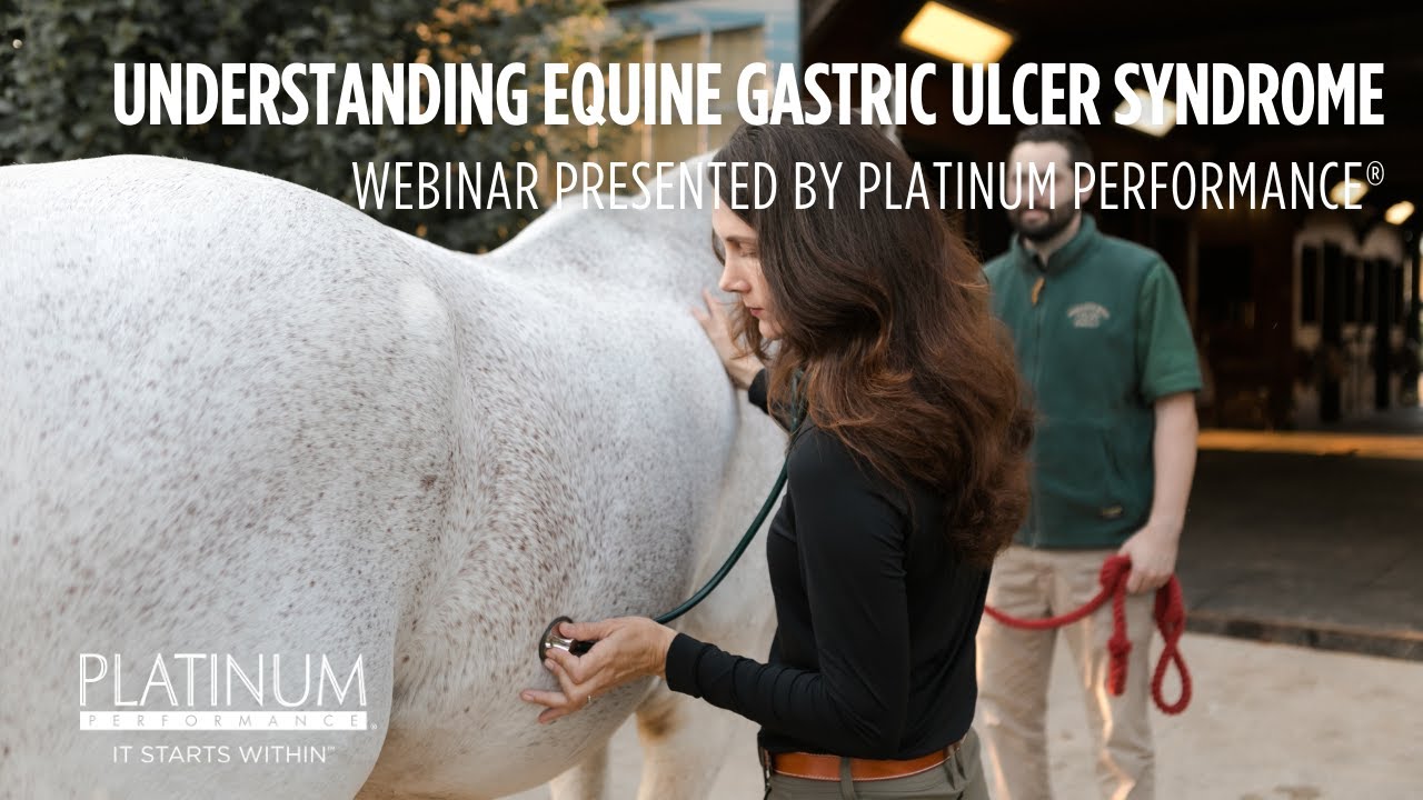 Understanding Equine Gastric Ulcer Syndrome - Webinar by Platinum Performance