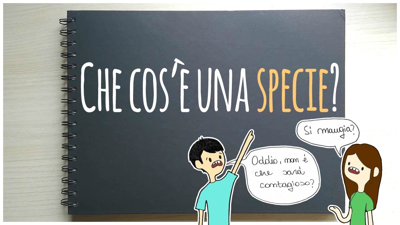 Che cos'&egrave; una specie?