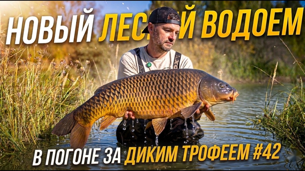 Ловля дикого карпа на лесном водоеме. В погоне за диким трофеем #42
