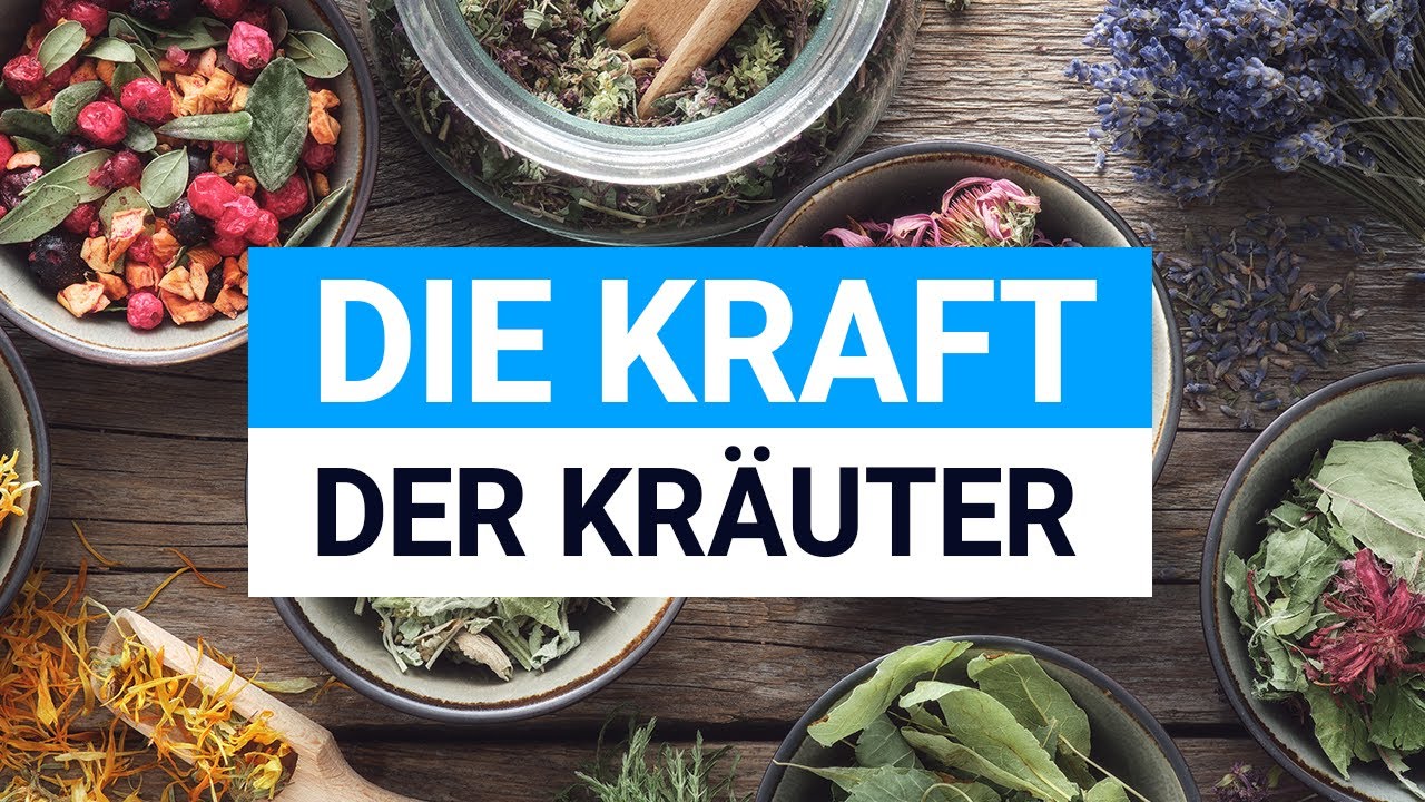 Diese Gewürze und Kräuter können dich heilen