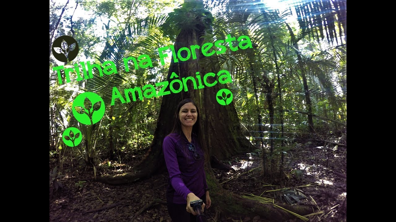 Trilha na floresta Amaz&ocirc;nica e nascer do sol/ Manaus - Amazonas