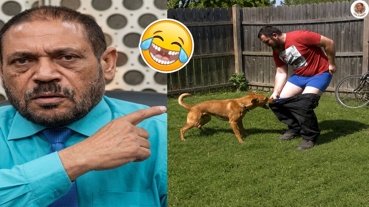 TRY NOT TO LAUGH FUNNY MOMENTS😁 Top Funniest Moments 😅😂 Memes #42